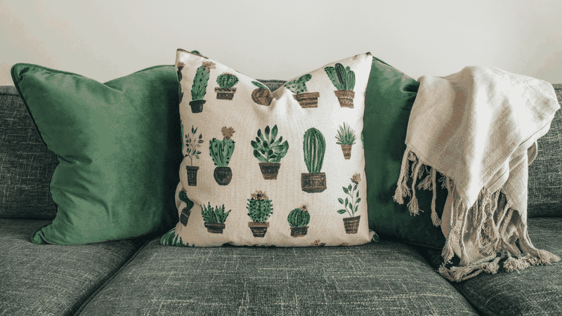 Cactus-print cushion between green cushions and a fringed throw on a sofa
